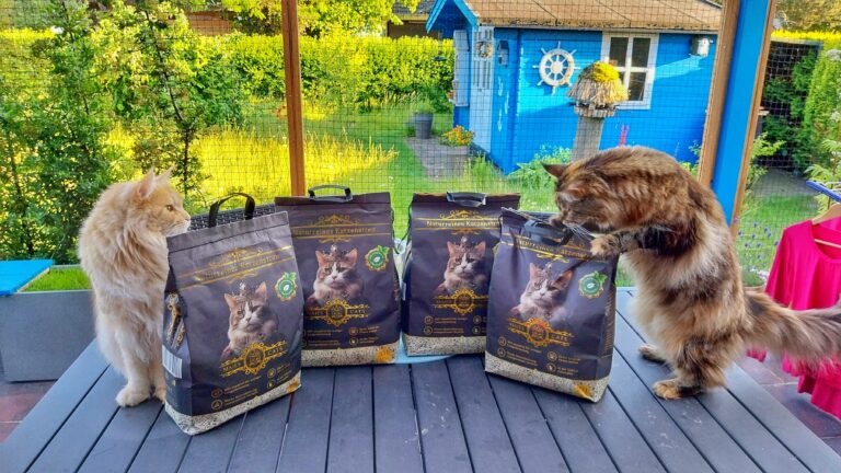 Majescats Katzenstreu – ist es wirklich so gut wie der Hersteller verspricht?
