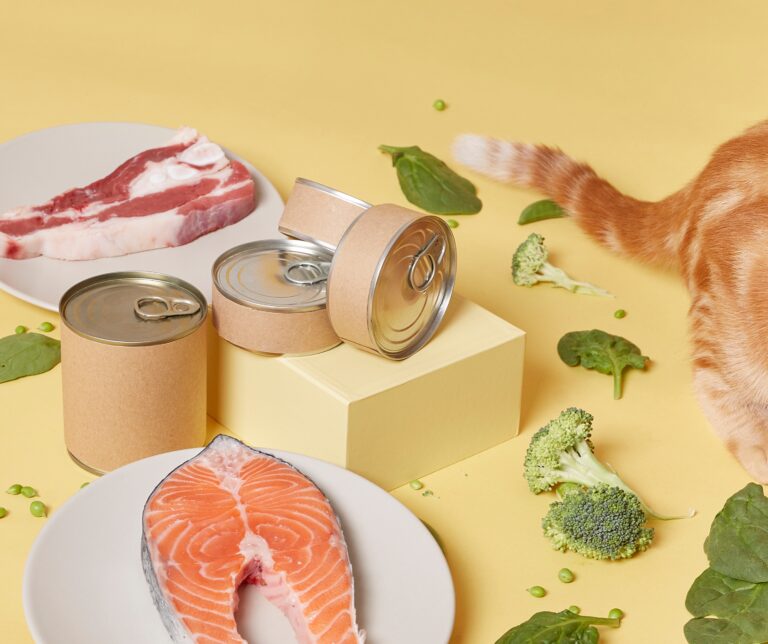 Abwechslung im Katzennapf – muss das sein?