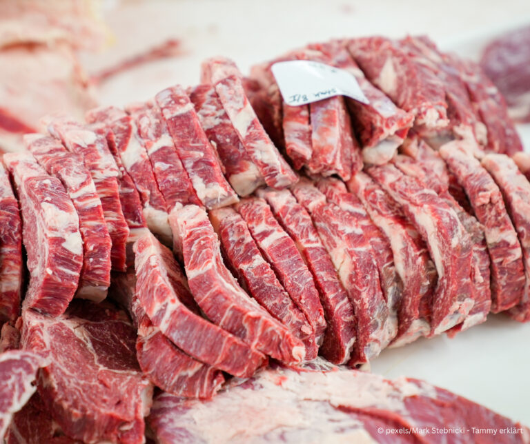 Die Bedeutung von Proteinen im Katzen- und Hundefutter